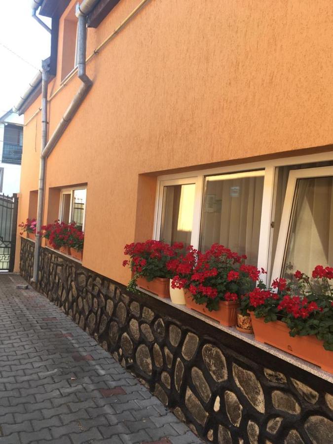 Casa Bis Daire Sibiu Dış mekan fotoğraf